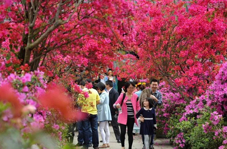 成都七里香开成瀑布 成都4月赏花好去处