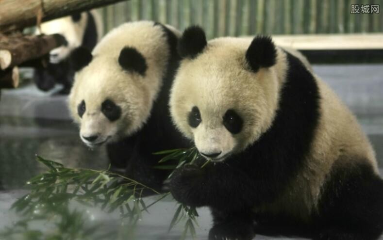 广州动物园门票多少钱 广州动物园有哪些动物