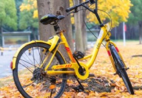 ofo145 ûѺѩϼ˪