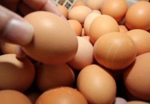 今日鸡蛋价格走势行情 3元一斤是不是真的？