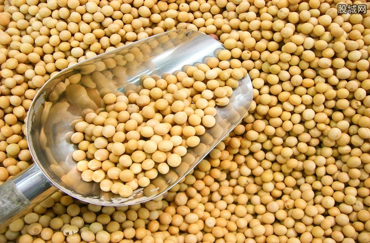 大豆多少钱一斤 4月大豆价格行情走势