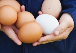 鸡蛋价格涨近四成 蛋价为何会出现上涨？