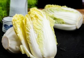 韩国一棵白菜卖近25元 白菜价格持续飙升