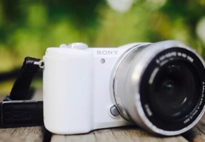 数码相机最好的是什么品牌 这几个品牌值得推荐